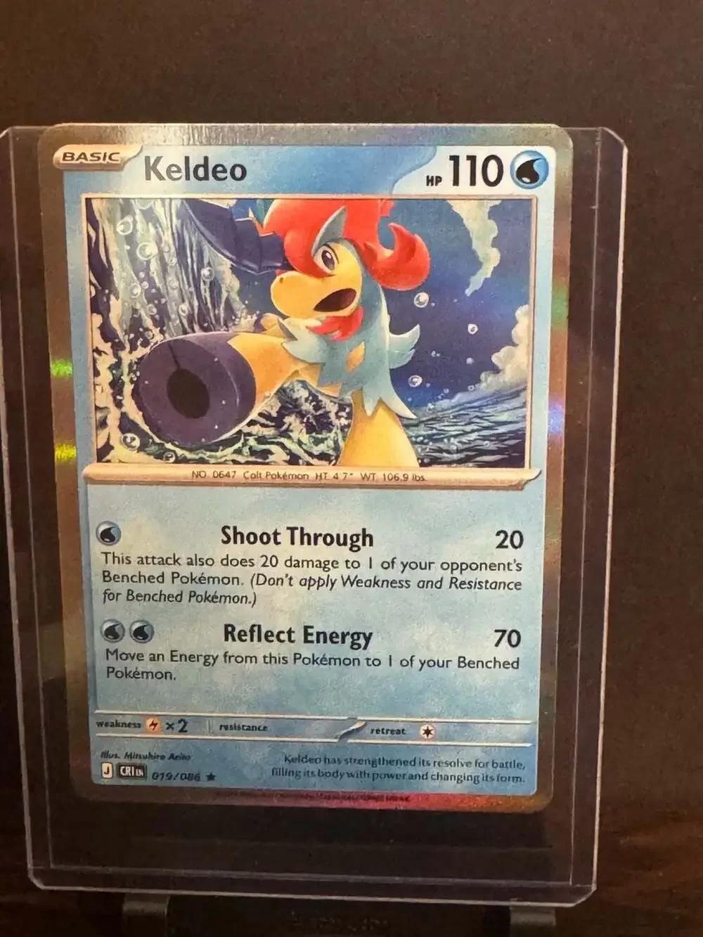 Keldeo 019/086 Holo Rare Chaos Rising Pokemon Trading Card
